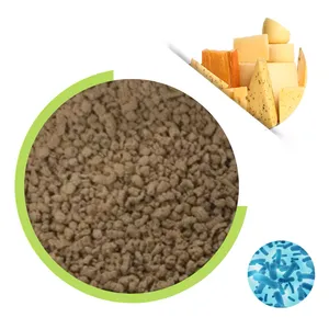 Natural Microbial Rennet Chymosin Enzyme Granular 2250imcu/g With 10 Mesh for Vegan Cheese thumbnail-1