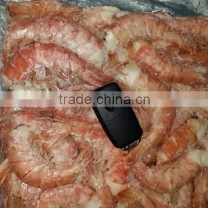 Frozen Argentine Red Shrimp - Whole or Tails thumbnail-5