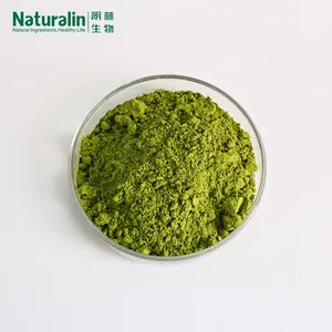 Matcha Tea Powder thumbnail-4