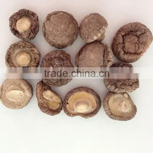Polish Wild Dried Mushrooms thumbnail-4