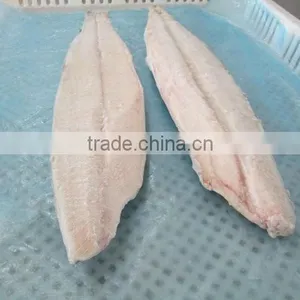 Spanish Mackerel New Filelts thumbnail-1
