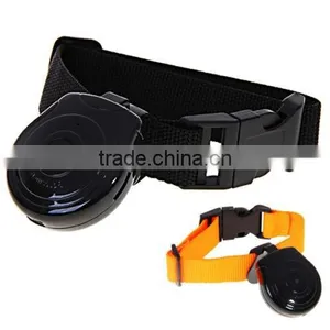 MD1113 Mini Digital Dog Camera thumbnail-1