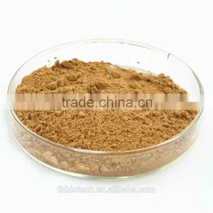 2015 Manufacturer Pure Natural High Quality Ginkgo Biloba Extract, Ginkgo Biloba Extract Powder, Ginkgo Biloba Leaf Extract thumbnail-2