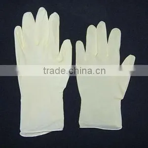 Powder Free Latex Glove thumbnail-1
