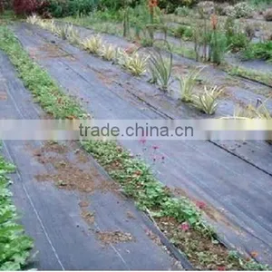 Newest Weed Barrier /weed Control Fabric thumbnail-3