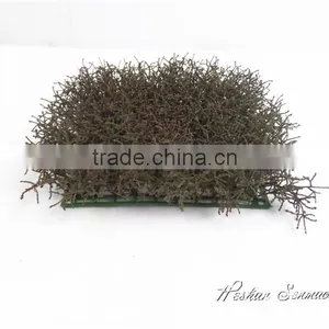 Latest Design Selling Boxwood Artificial Grass Turf / Pvc Green Carpet for Decoration thumbnail-4