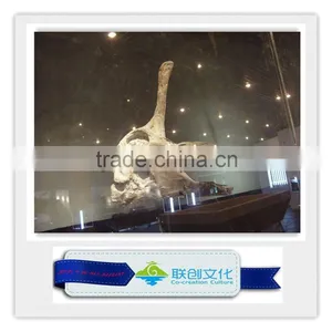 High Quality Museum Life Size Dinosaur Replica thumbnail-1