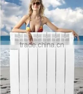 Aluminum Alloy Radiator thumbnail-1