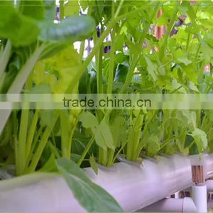 45*45mm Soilless Cultivation Out-planting Basket Hydroponic Basket Cup Hydroponics; Water Culture thumbnail-3