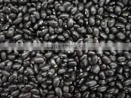 Black Beans New Crop thumbnail-1