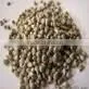 Millets thumbnail-1