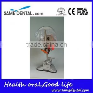 Multifunctional Simple Head Mold Dental Model thumbnail-4