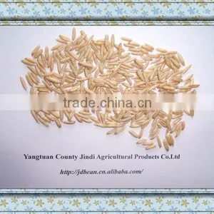High Quality Chinese Hulled Oats, Naked Oats, Flat Oat Flakes, Rolled Oats Price thumbnail-6