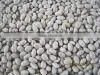 White Kidney Beans thumbnail-1