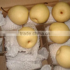 New Crop ya Pear Yellow Fruit From China thumbnail-1