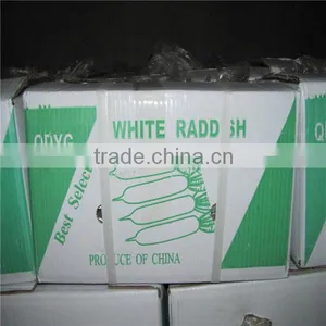 Fresh Vegetables Fresh Raddish Exporter thumbnail-3