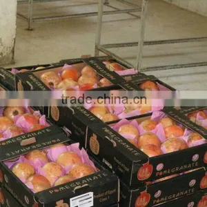Fresh Pomegranate Crops 2015 thumbnail-3