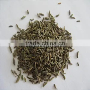 Chinese Black Cumin Seeds thumbnail-3