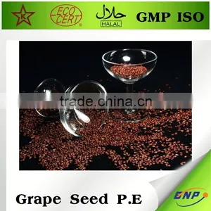 Organic Grape Seed Extract Alcohol thumbnail-1