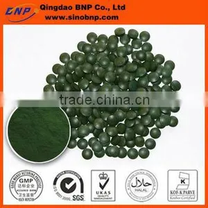 BNP Offer 100% Organic Natura Spirulina Powder Protein With Free Sample thumbnail-1