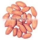 GROUNDNUTS BOLD 50/60 thumbnail-1