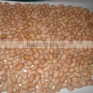 Raw Peanut 24/28 28/32 40/50 41/51 25/29 thumbnail-1