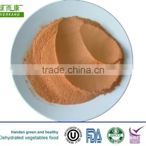 AD 2012 New Crop High Quality Dehydrated Sundried Dried Yellow Make Ginger Powder thumbnail-1