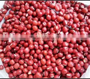 JSX All Size of Small Red Beans Superior Small Red Mung Beans thumbnail-1
