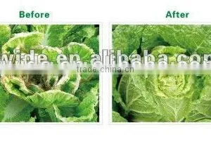 Seaweed Salt Powder Fertilizer thumbnail-5