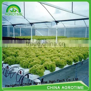 Greenhouse Hydroponic Growing System thumbnail-2
