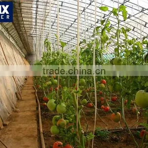 Durable Material Solar Greenhouse thumbnail-1