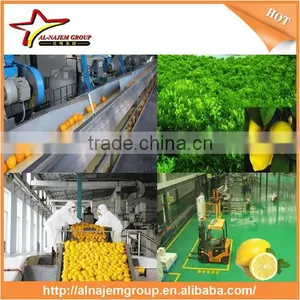 Hot Hot Juice Production Lemon Beverage Hot Filling Machine Lemon Processing Machine thumbnail-5
