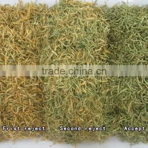 ZRWS 5388 CCD Camera High Accuracy Tea Colour Sorter thumbnail-5
