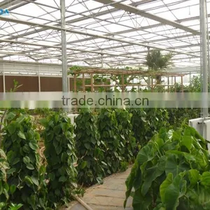 Vegetable &Fruit Used Pvc Greenhouse thumbnail-3