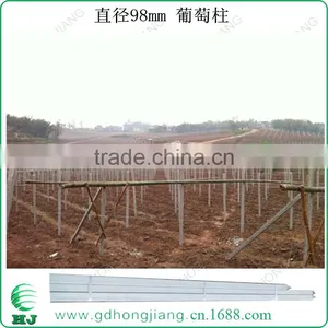 Eco Recycled Plastic Stake for Grape Shed 100mm thumbnail-3