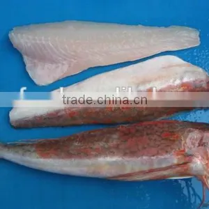 Red Gurnard With Frozen thumbnail-1
