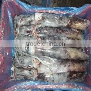 Frozen Baby Squid and Fresh Seafood Sales thumbnail-1