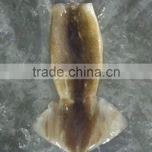 Frozen Illex Squid Tube thumbnail-1