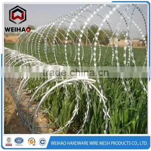 900mm Coil Diameter Sharp Razor Barbed Wire thumbnail-3