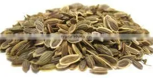 Dill Seed Oil thumbnail-4