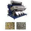 Corn Grain Color Sorter Machine With Self Checking System , 0.025m Accuracy thumbnail-1