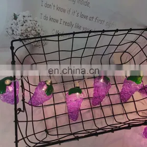 Hot Sale Unique Harvest Decoration Plastic Grape Shape String Light thumbnail-2