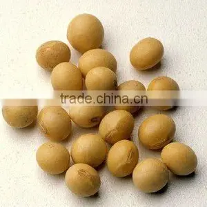 Organic Soya Bean NON GMO thumbnail-1