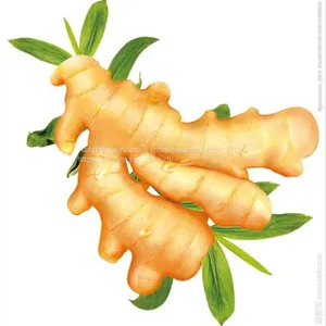 In 2021, With Fresh Ginger thumbnail-2