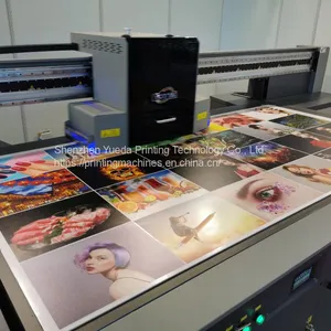 Hot Sale Ricoh MH5420 Gen5 Heads 2513 UV Large Format Printer thumbnail-5
