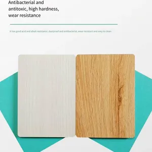 Manufacturer of New Environmentally Friendly Flame-retardant Wall Panels, Ice-fire Boards, Waterproof and Antibacterial Clean Boards thumbnail-3