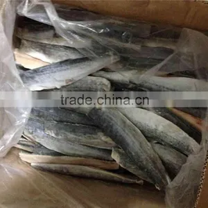 Bone off Frozen Spanish Mackerel Fillet and Scomberomorus Niphonius thumbnail-3