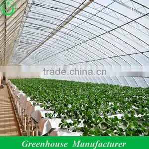 Solar Greenhouse for Agricultural thumbnail-1