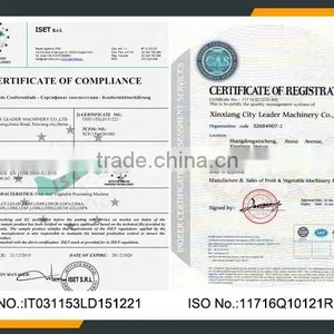 Leader High Quality Fruit Juice Refiner for Litchi thumbnail-6