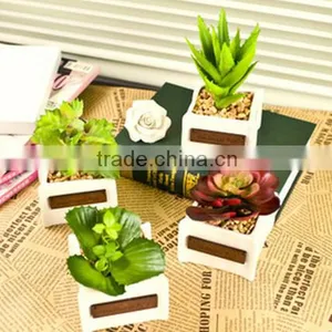 Wholesale Artificial Potted Mini Succulent Plants thumbnail-1